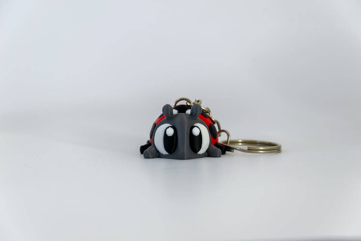 Porte-clés Coccinelle articulé MinoZoo rouge, gris foncé et noir, vue de face avec anneau sur fond blanc.