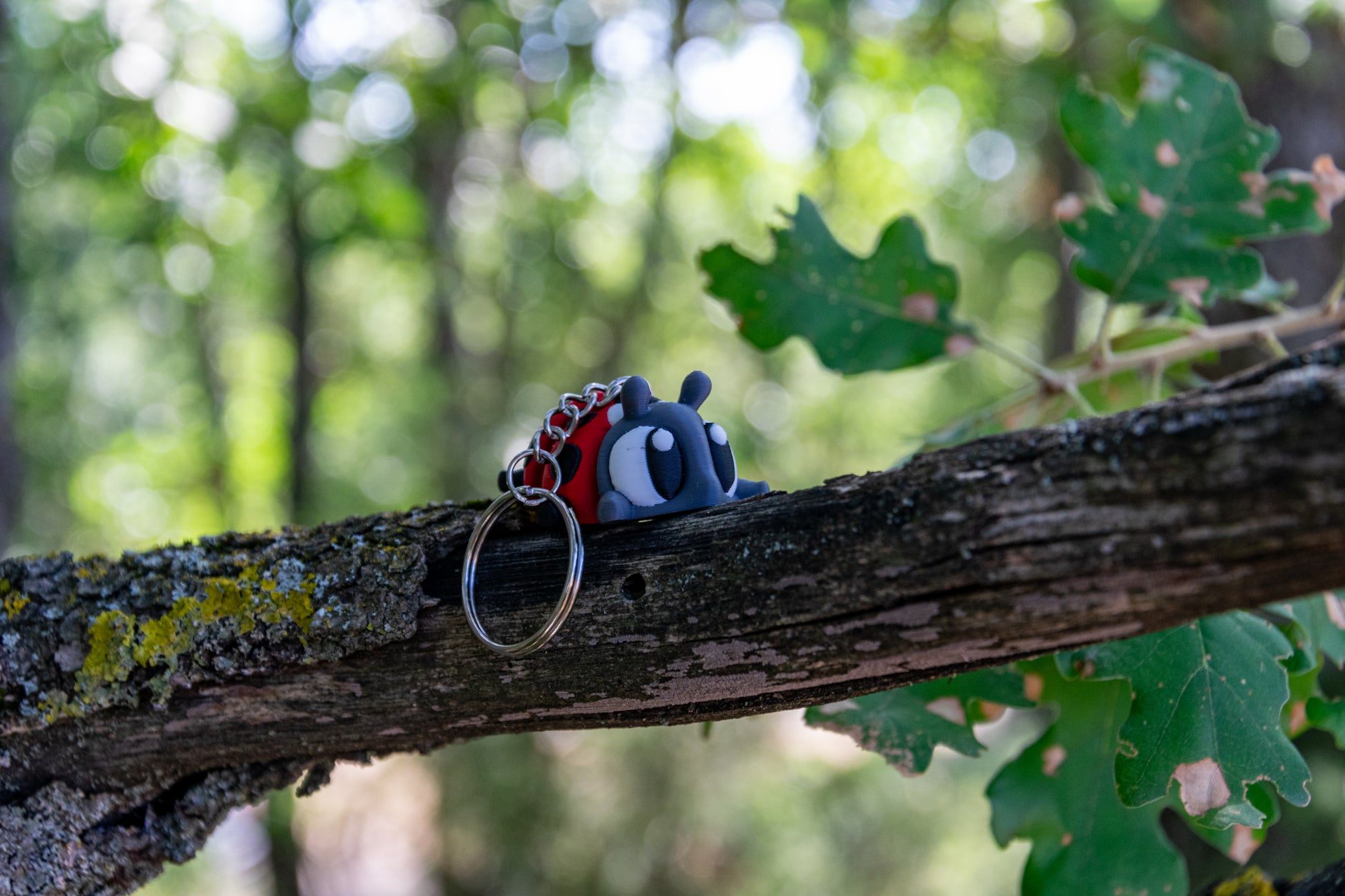 Porte-clés Coccinelle articulé MinoZoo rouge, noir et gris foncé, posé de profil sur une branche en forêt.