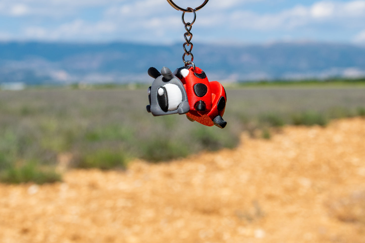 Porte-clés Coccinelle articulé MinoZoo rouge, noir et gris foncé, suspendu de trois quarts devant une prairie.
